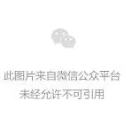 乘联会:2月新能源乘用车批发49.6万辆 零售43.9万辆 图片