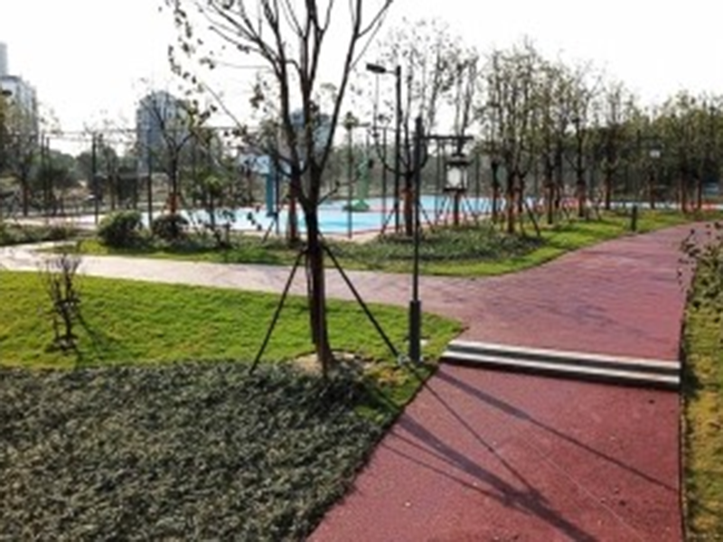 环形步道
