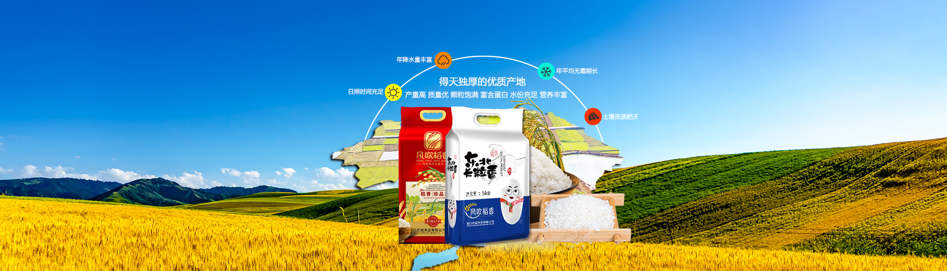 公司简介