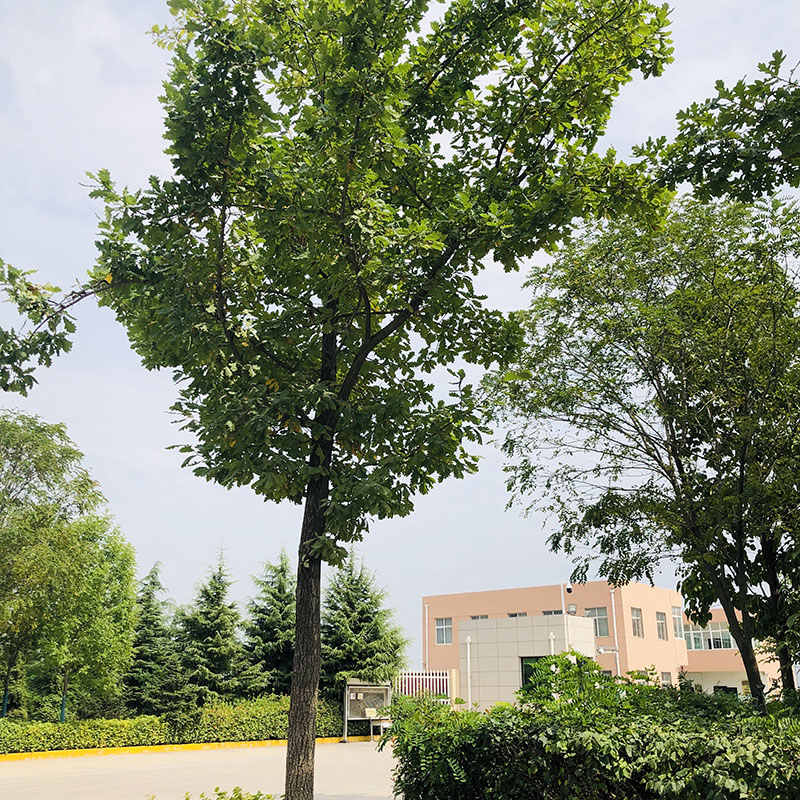 产品展示