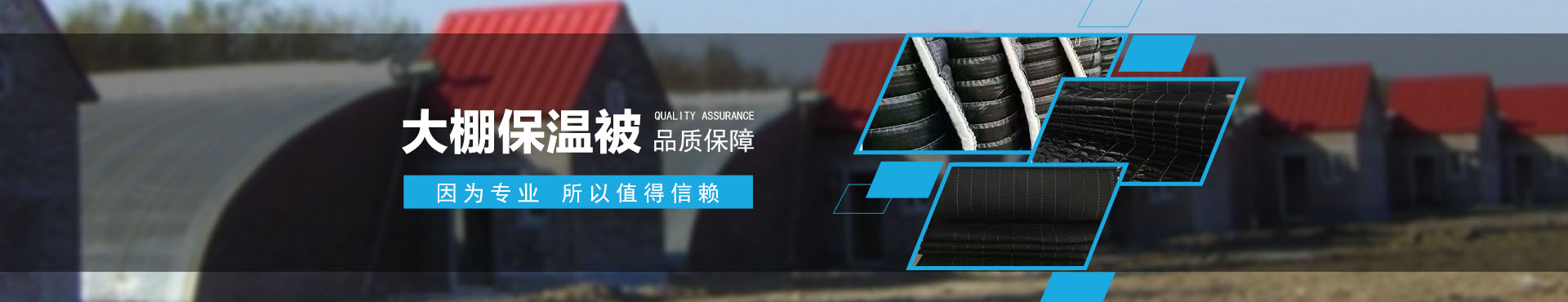 案例展示