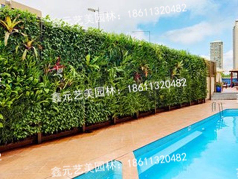 植物墙2