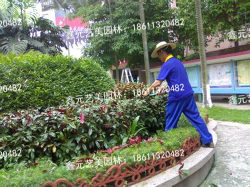 绿化养护