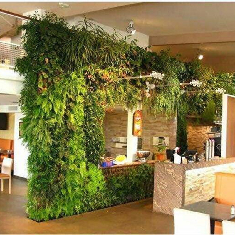 植物墙