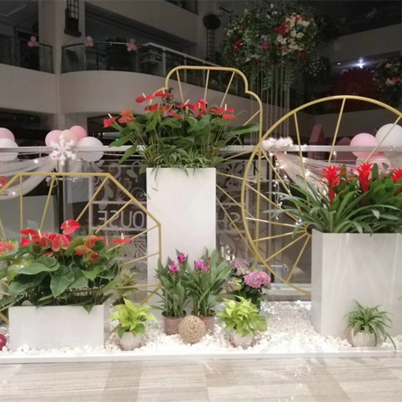 花架组合