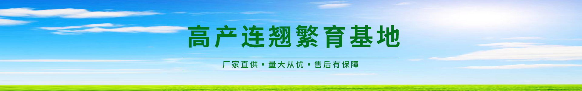联系我们