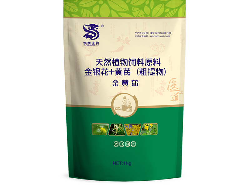 金黄蒲