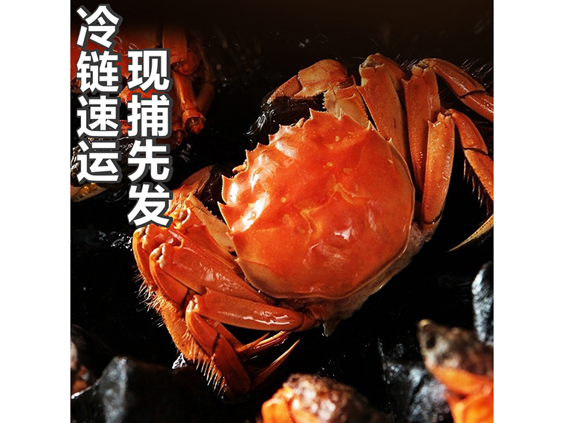 大闸蟹