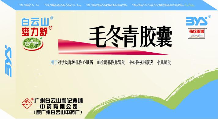 毛冬青胶囊