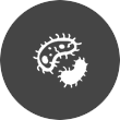 index_cnt_m_one_li1_img7
